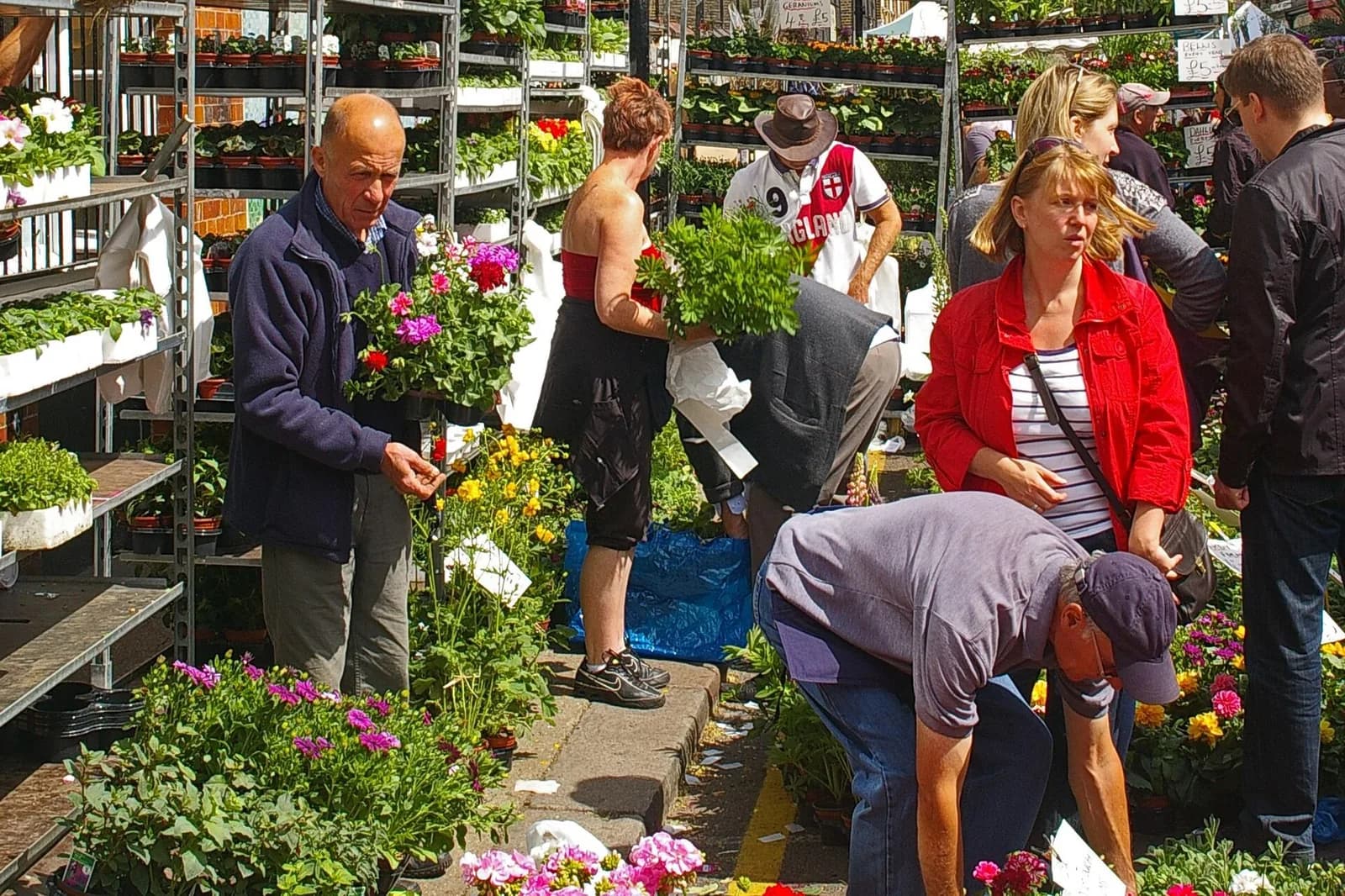 Clients choisissant des plantes en pot aux étals du Columbia Road Flower Market, un dimanche matin