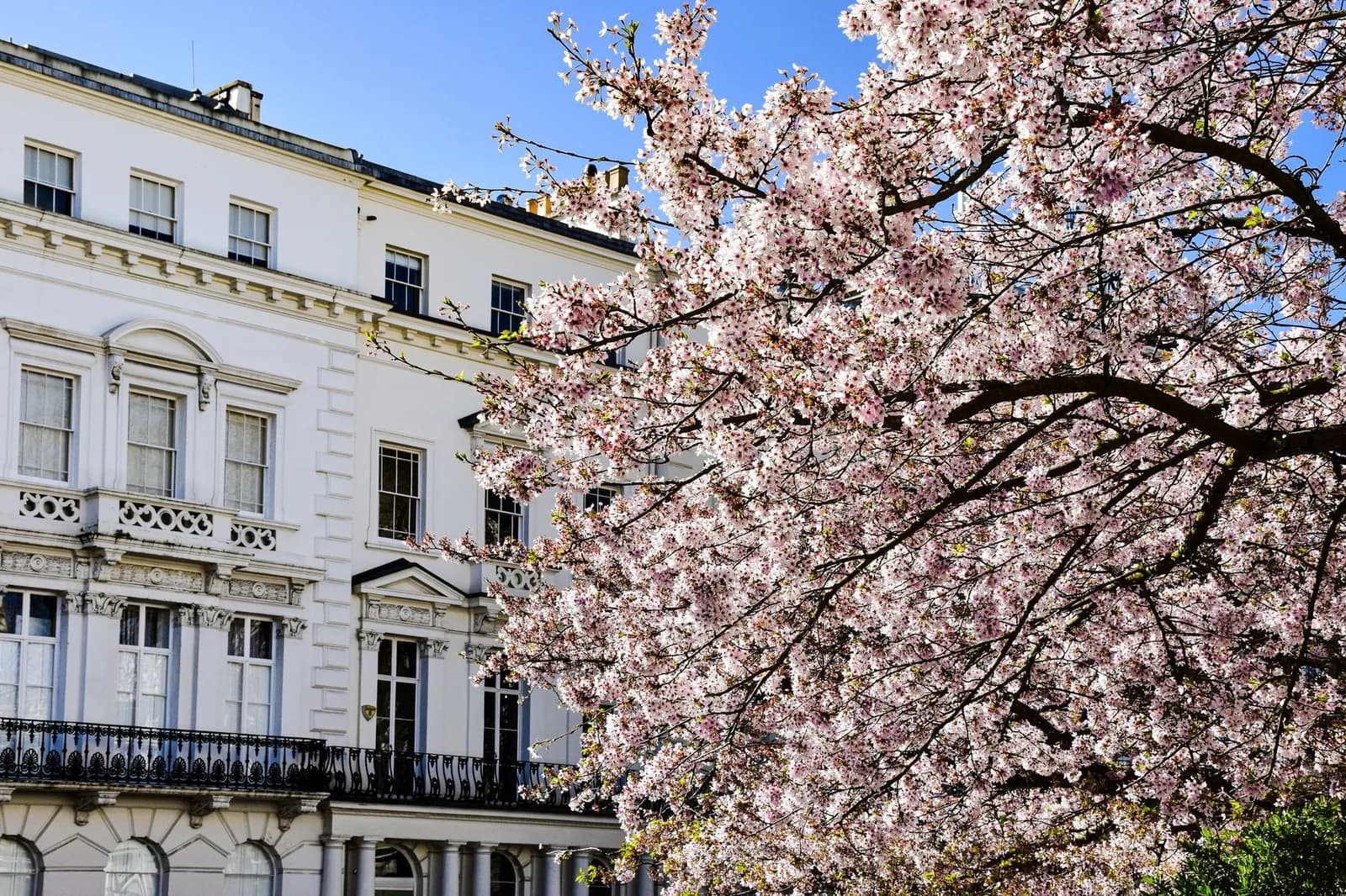 Rangée de maisons victoriennes à façade blanche stuquée et balcons en fer forgé dans une rue de Londres