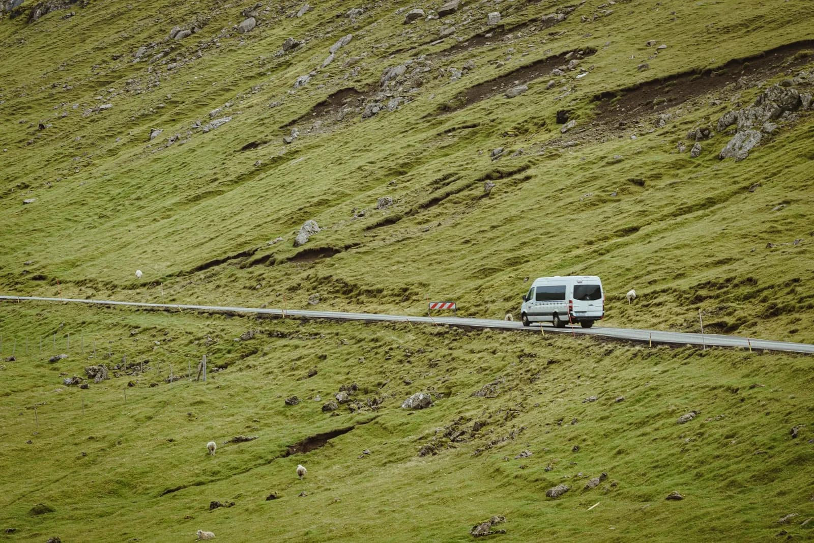 Fourgon aménagé blanc sur une petite route de campagne, entre collines vertes et moutons