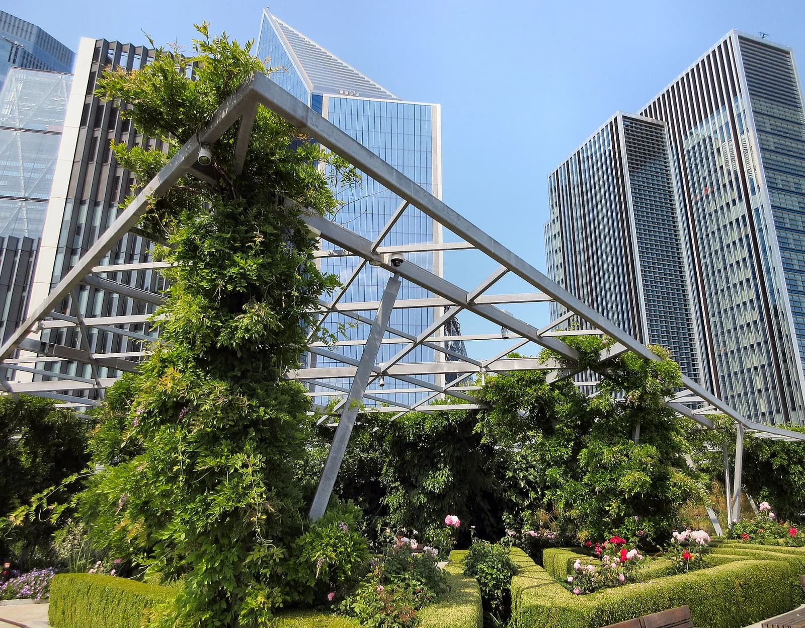 Le Garden at 120 : glycine sur une pergola métallique, haies taillées et rosiers entre les tours de la City