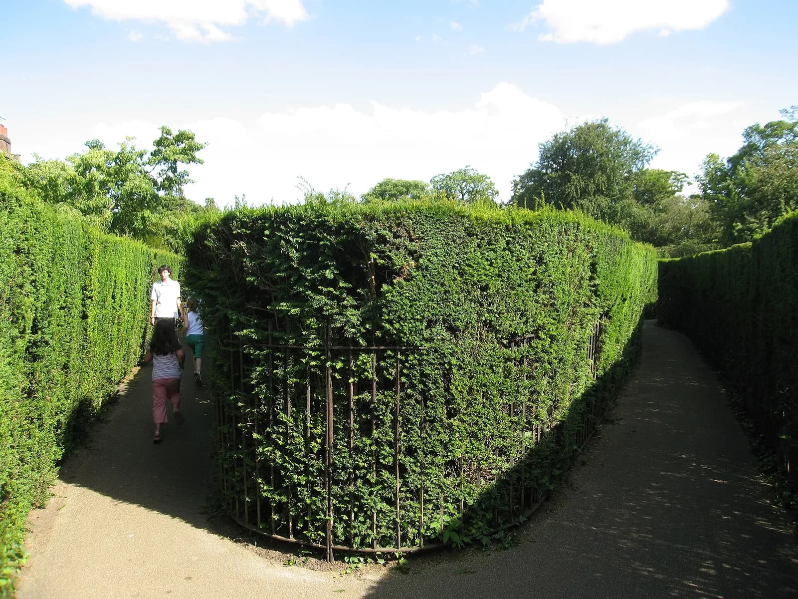 Une allée du labyrinthe de haies de Hampton Court, entre deux murs de verdure