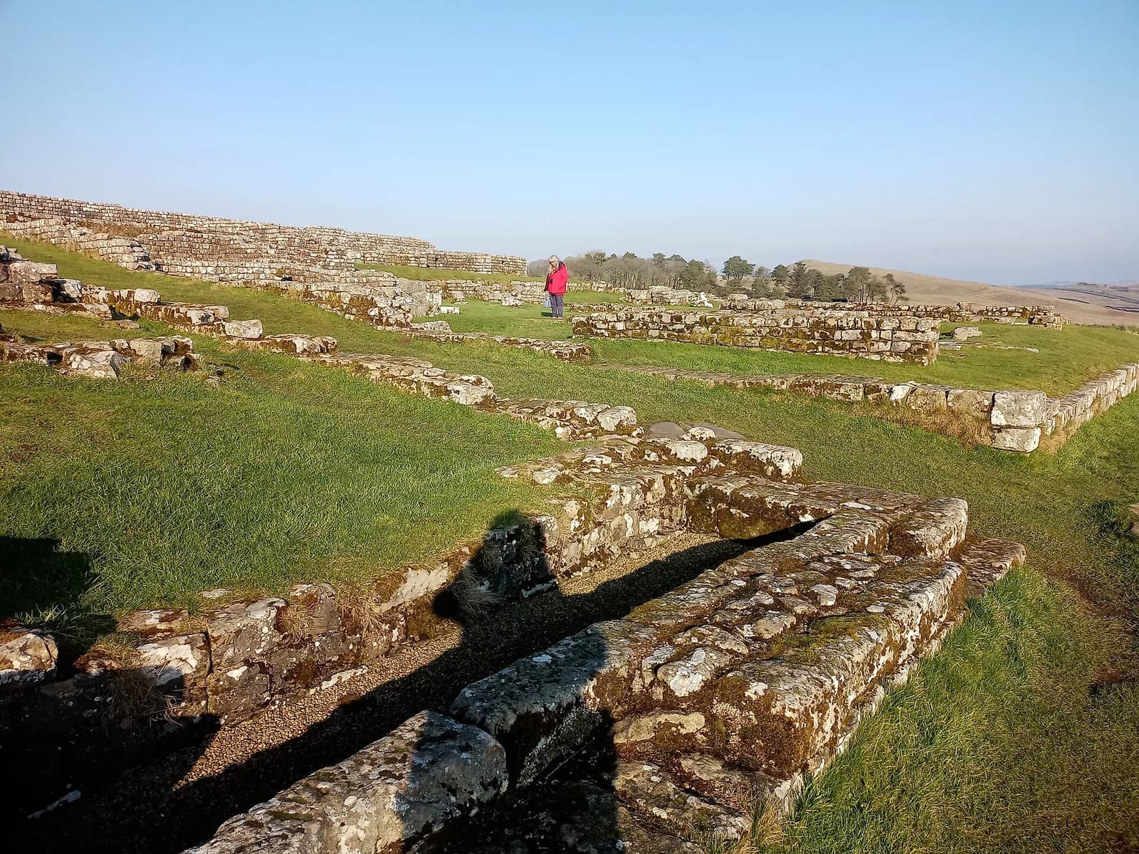 Ruines en pierre du fort romain de Housesteads, sur la crête du mur d'Hadrien, dans le Northumberland
