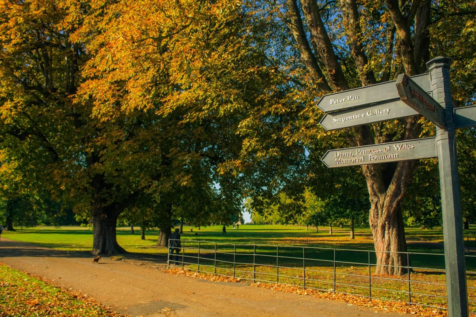 Allée de terre bordée d'arbres aux feuillages d'automne dans Hyde Park, à Londres