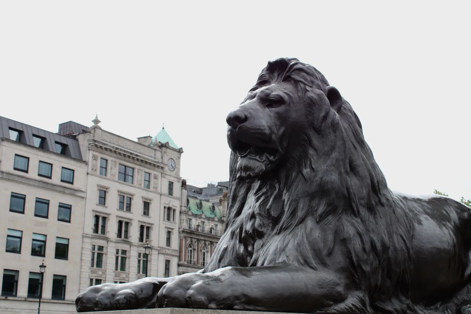 Un des quatre lions de bronze d'Edwin Landseer au pied de la colonne de Nelson