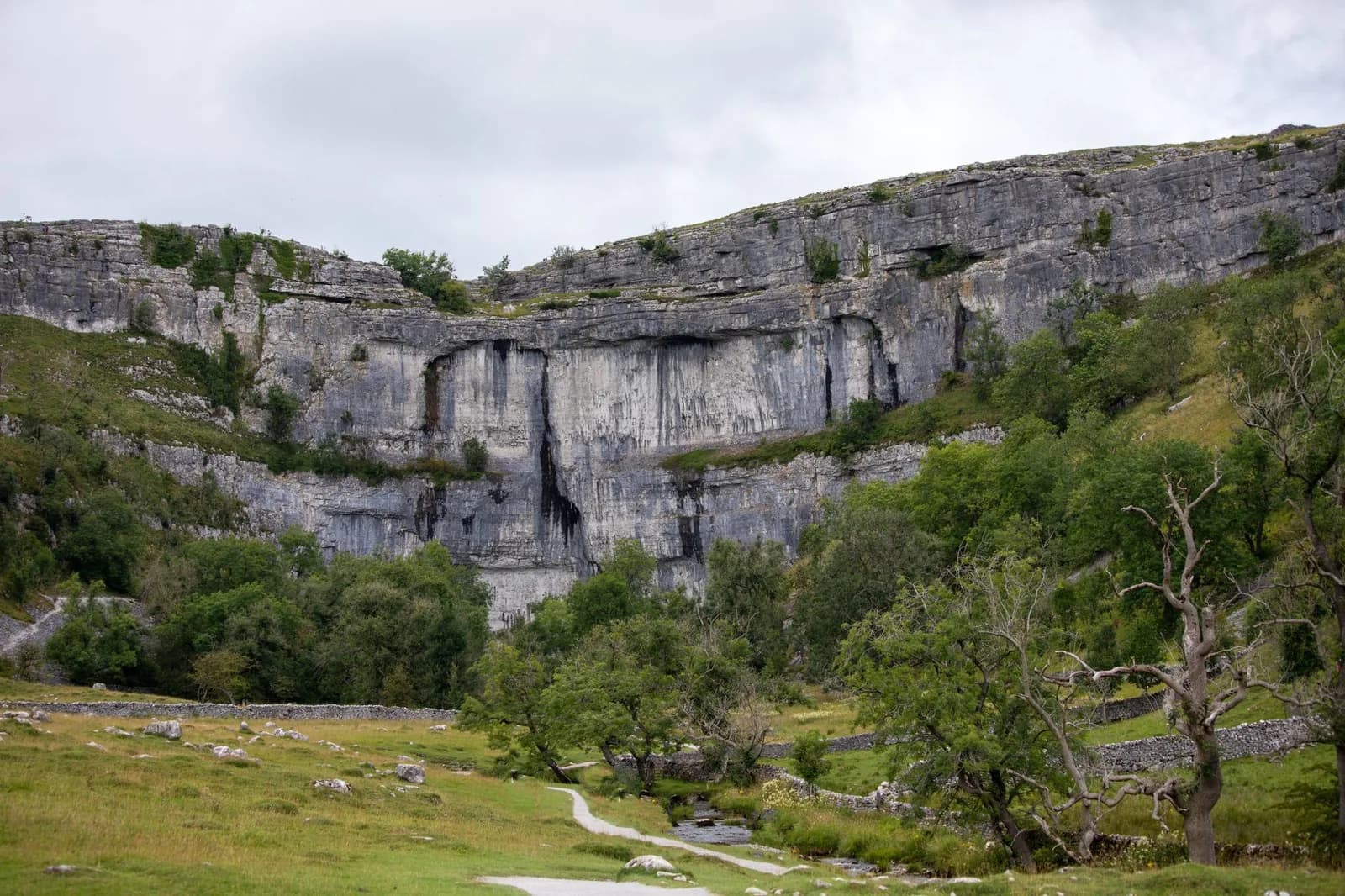 La falaise calcaire en amphithéâtre de Malham Cove