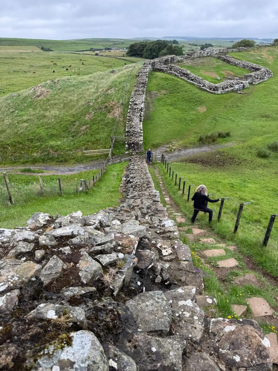 Le mur d'Hadrien courant sur une crête herbeuse du Northumberland
