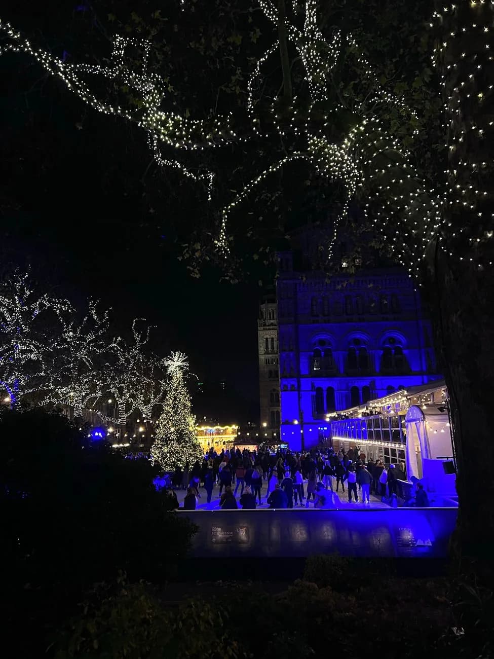 Patinoire éclairée devant la façade du museum d'histoire naturelle de Londres, la nuit