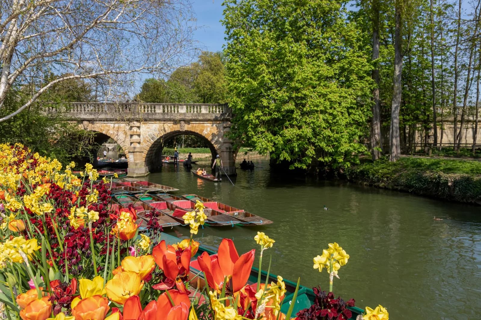Punts amarrés sur la Cherwell près de Magdalen Bridge à Oxford
