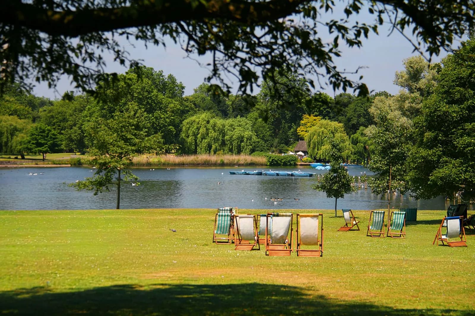Transats sur une pelouse au bord d'un lac bordé d'arbres, par une journée d'été