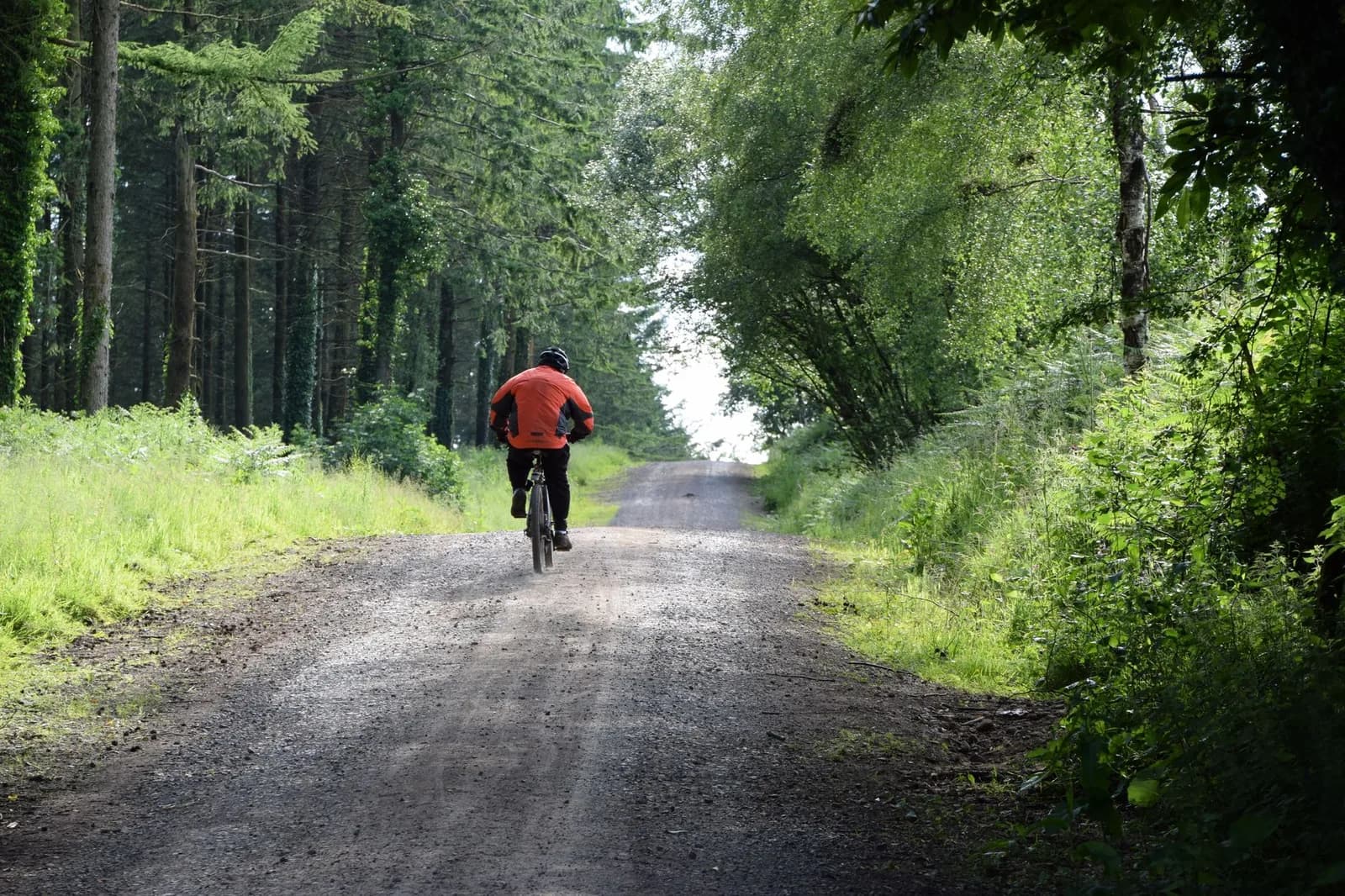 Cycliste sur un chemin de gravier à travers une forêt