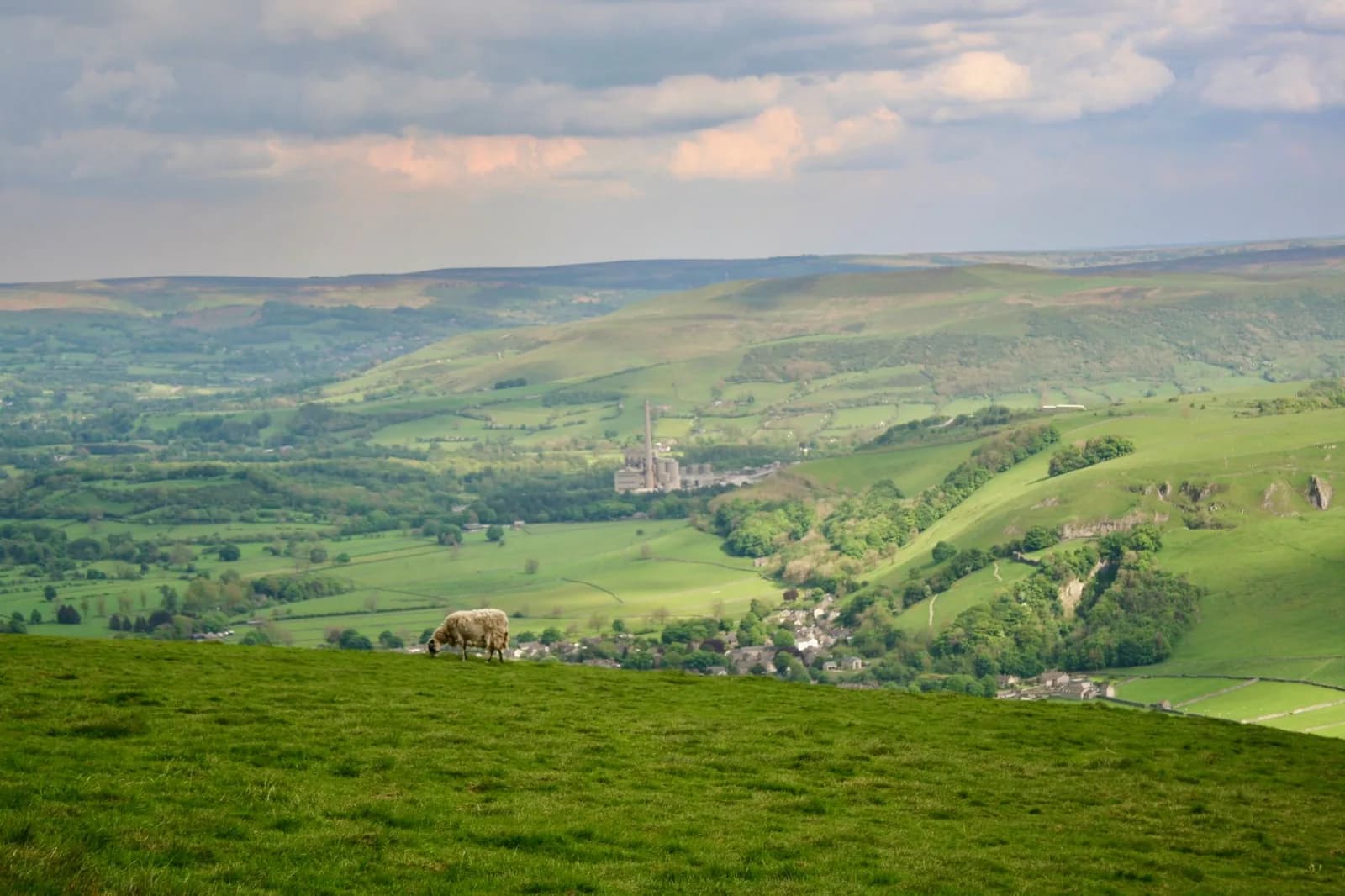 Vallée verdoyante du Peak District avec un mouton au pâturage et un village au loin